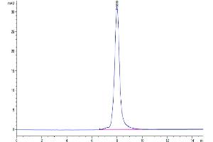 The purity of Cynomolgus LILRB1 is greater than 95 % as determined by SEC-HPLC. (LILRB1 Protein (AA 41-474) (His tag))