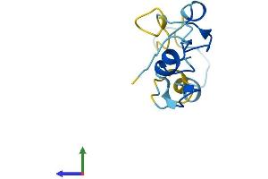 AlphaFold protein structure predicition of Mouse Recombinant Cript Protein, UniprotID O70333 (CRIPT Protein (AA 1-101) (His tag))