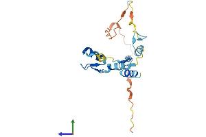 AlphaFold protein structure predicition of Mouse Recombinant Ovol3 Protein, UniprotID D3YYM0 (OVOL3 Protein (AA 1-189) (His tag))