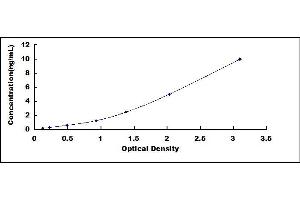 SR-Related CTD-Associated Factor 11 (SCAF11) ELISA Kit