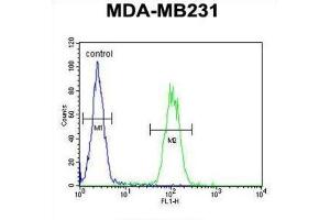 Flow Cytometry (FACS) image for anti-Adaptor Related Protein Complex 1 sigma 1 (AP1S1) antibody (ABIN3002203)