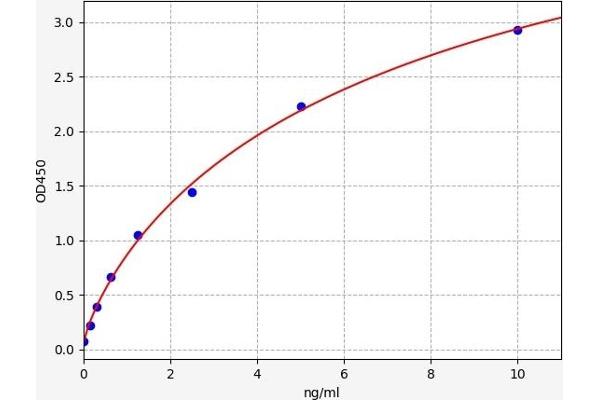 DVL1 ELISA Kit