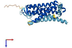 AlphaFold protein structure predicition of Human Recombinant OR8H3 Protein, UniprotID Q8N146 (OR8H3 Protein (AA 1-312) (His tag))