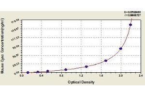 ELISA image for Cystatin C (CST3) ELISA Kit (ABIN367853)