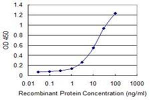 Detection limit for recombinant GST tagged PTGIS is 0. (PTGIS antibody  (AA 391-500))