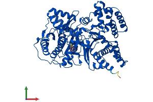 AlphaFold protein structure predicition of Human Recombinant CROT Protein, UniprotID Q9UKG9 (CROT Protein (AA 1-612) (His tag))