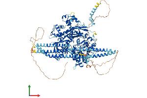 AlphaFold protein structure predicition of Human Recombinant PLCB2 Protein, UniprotID Q00722 (Phospholipase C beta 2 Protein (AA 1-1185) (His tag))