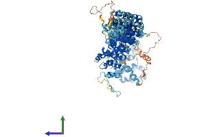 Protein Structure (PS) image for TELO2 Interacting Protein 1 (TTI1) (AA 1-1085) protein (His tag) (ABIN7564779)