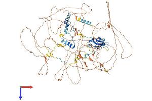 Ataxin 2-Like Protein (ATXN2L) (AA 1-1075) (His tag)