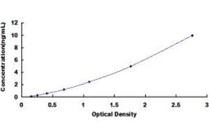 SSH3 ELISA Kit