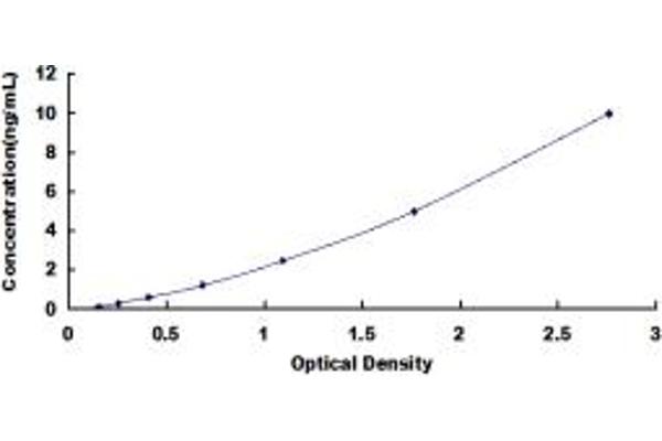 SSH3 ELISA Kit