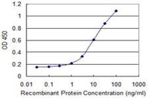 Detection limit for recombinant GST tagged CRYBA4 is 0. (CRYbA4 antibody  (AA 96-195))