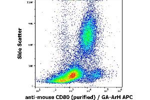 Flow cytometry surface staining pattern of murine peripheral whole blood stained using anti-mouse CD80 (16-10A1) purified antibody (concentration in sample 2 μg/mL) GAM APC. (CD80 antibody)