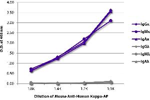ELISA plate was coated with purified human IgGκ, IgMκ, IgAκ, IgGλ, IgMλ, and IgAλ.