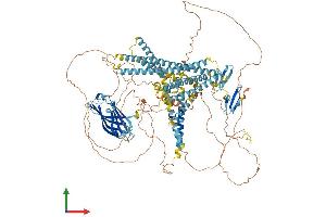 Protein Structure (PS) image for WW and C2 Domain Containing 1 (WWC1) (AA 1-1113) protein (His tag) (ABIN7554363)