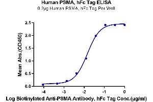 Immobilized Human PSMA, hFc Tag at 2 μg/mL (100 μL/Well) on the plate. (PSMA Protein (AA 44-750) (Fc Tag))