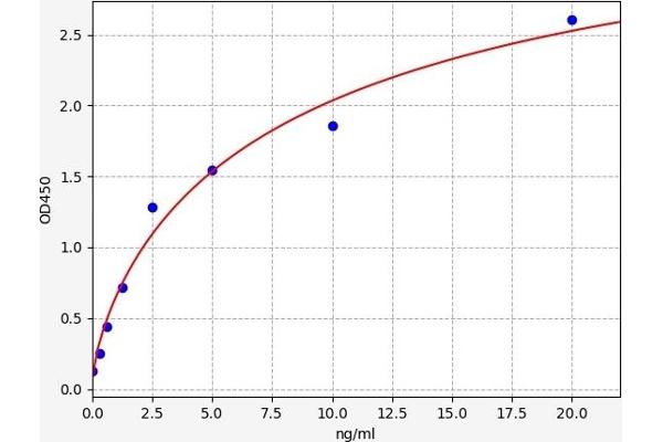 MAP2K5 ELISA Kit