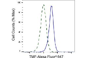 Validation of TMF knockdown using flow cytometry. (Recombinant TMF1 antibody)
