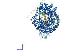 AlphaFold protein structure predicition of Human Recombinant NLRP11 Protein, UniprotID P59045