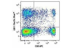 Flow Cytometry (FACS) image for anti-Granzyme B (GZMB) antibody (Pacific Blue) (ABIN2662181) (GZMB antibody  (Pacific Blue))