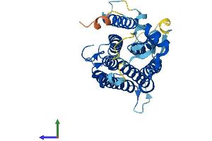 AlphaFold protein structure predicition of Human Recombinant SRD5A3 Protein, UniprotID Q9H8P0