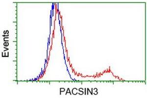 Image no. 2 for anti-Protein Kinase C and Casein Kinase Substrate in Neurons 3 (PACSIN3) antibody (ABIN1500007) (PACSIN3 antibody)