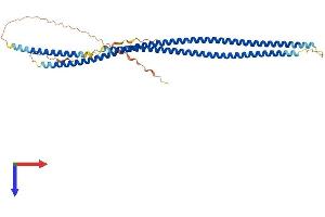 AlphaFold protein structure predicition of Mouse Recombinant Krt32 Protein, UniprotID Q62168 (KRT32 Protein (AA 1-407) (His tag))