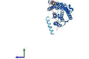 AlphaFold protein structure predicition of Mouse Recombinant Elovl2 Protein, UniprotID Q9JLJ4 (ELOVL2 Protein (AA 1-292) (His tag))