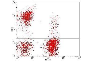 Flow Cytometry (FACS) image for anti-CD3, CD16&56 antibody (FITC,PE) (ABIN2144407) (CD3, CD16&56 antibody (FITC,PE))