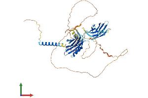 AlphaFold protein structure predicition of Mouse Recombinant Syt14 Protein, UniprotID Q7TN84 (SYT14 Protein (AA 1-555) (His tag))
