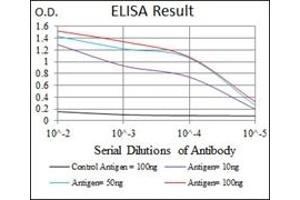 ELISA image for anti-NCK Adaptor Protein 1 (NCK1) antibody (ABIN1108388) (NCK1 antibody)