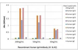 ELISA of human immunoglobulins shows the recombinant Human IgA antibody reacts to both IgA1 & IgA2. (Recombinant Rabbit anti-Human IgA1,2 Antibody)