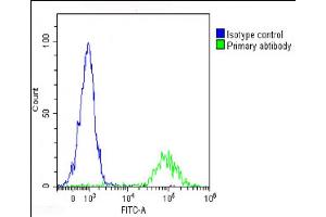 Overlay histogram showing Raji cells stained with (ABIN652257 and ABIN2841071)(green line).