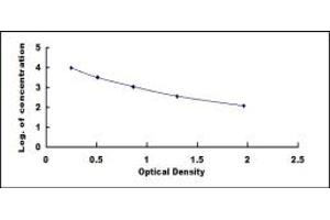 Typical standard curve (Kallikrein 14 ELISA Kit)