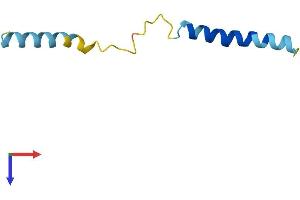 AlphaFold protein structure predicition of Mouse Recombinant Serp1 Protein, UniprotID Q9Z1W5 (SERP1 Protein (AA 1-66) (Fc Tag))