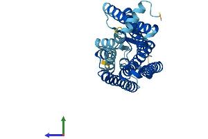 AlphaFold protein structure predicition of Human Recombinant OR14A16 Protein, UniprotID Q8NHC5 (OR14A16 Protein (AA 1-309) (His tag))