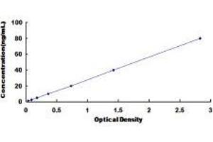 ELISA image for Granulin (GRN) ELISA Kit (ABIN432881)