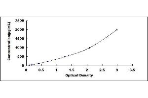 Typical standard curve (RANKL ELISA Kit)