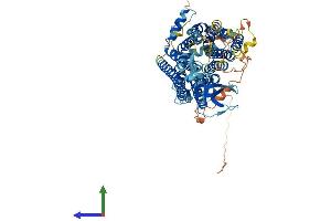 AlphaFold protein structure predicition of Human Recombinant SLCO6A1 Protein, UniprotID Q86UG4 (SLCO6A1 Protein (AA 1-719) (His tag))