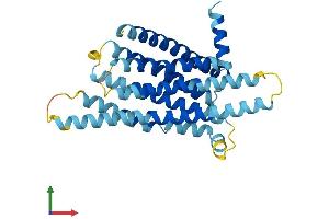 AlphaFold protein structure predicition of Human Recombinant TAS2R19 Protein, UniprotID P59542