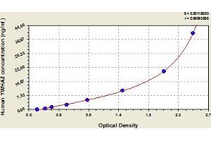 Typical Standard Curve (14-3-3 zeta ELISA Kit)