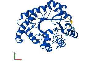 AlphaFold protein structure predicition of Human Recombinant HYI Protein, UniprotID Q5T013