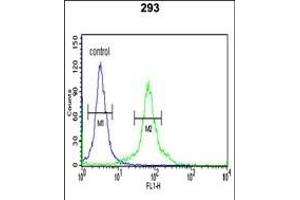 DLG7 Antibody (Center) (ABIN650734 and ABIN2839433) flow cytometric analysis of 293 cells (right histogram) compared to a negative control cell (left histogram). (DLGAP5 antibody  (AA 228-258))