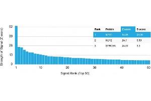 Analysis of Protein Array containing more than 19,000 full-length human proteins using Nucleophosmin-Monospecific Mouse Monoclonal Antibody (NPM1/1902) Z- and S- Score: The Z-score represents the strength of a signal that a monoclonal antibody (MAb) (in combination with a fluorescently-tagged anti-IgG secondary antibody) produces when binding to a particular protein on the HuProtTM array. (NPM1 antibody  (AA 185-287))
