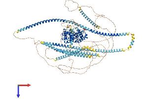 AlphaFold protein structure predicition of Human Recombinant PPFIA2 Protein, UniprotID O75334 (PPFIA2 Protein (AA 1-1257) (His tag))
