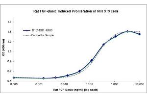 SDS-PAGE of Rat Fibroblast Growth Factor basic Recombinant Protein Bioactivity of Rat Fibroblast Growth Factor basic Recombinant Protein. (FGF2 Protein)