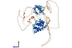 AlphaFold protein structure predicition of Human Recombinant AGAP7P Protein, UniprotID Q5VUJ5 (ArfGAP with GTPase Domain, Ankyrin Repeat and PH Domain 7 (AGAP7) (AA 1-663) protein (His tag))