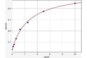 Typical standard curve (ATP-Binding Cassette, Sub-Family B (MDR/TAP), Member 1A (ABCB1A) ELISA Kit)