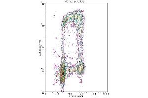 Flow cytometric analysis of the BrdU labeled fraction in a tissue cell culture. (BrdU antibody)