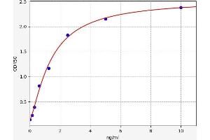 FOXO3 ELISA Kit